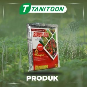 RIMBO RED 2KG