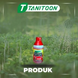 SIDAFOS 480 SL 200 ML