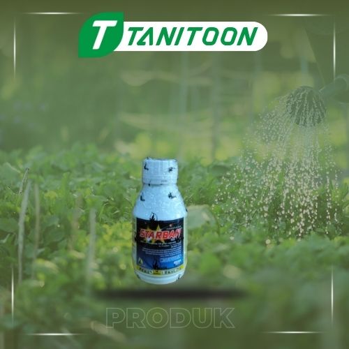 STARBAN 100ML